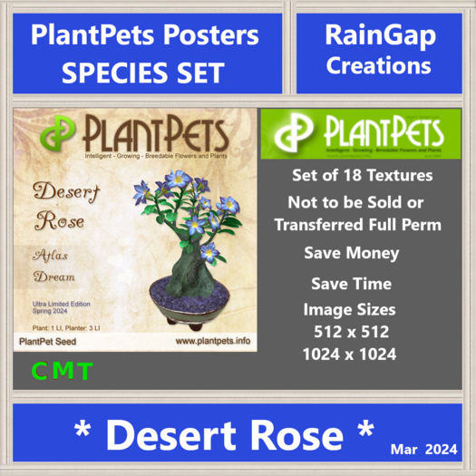 PLANTPETS POSTER SET DESERT ROSE (18)