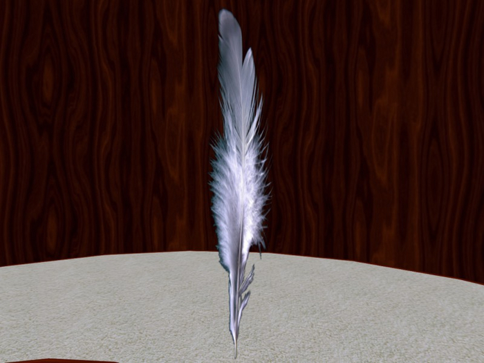 TM White Feather Texture fp - Full Permissions