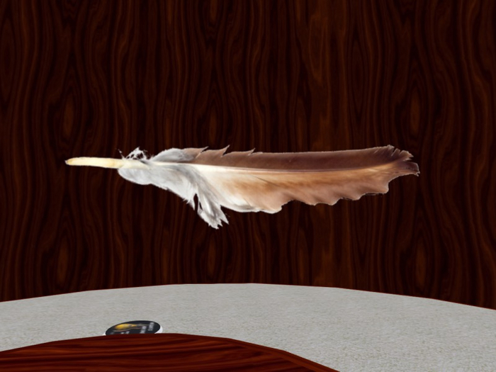 TM Brown Eagle Feather Texture fp - Full Permissions