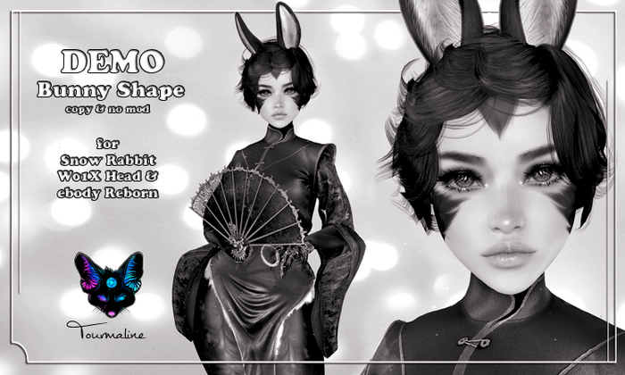 S@R W01X Bunny Shape DEMO
