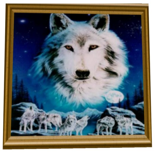 White Wolves (weisse Wölfe)