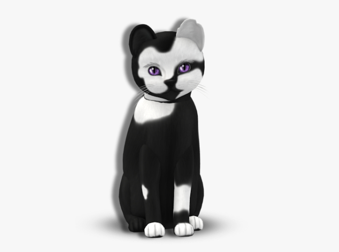 KittyCatS Box - Chateau Cat - Black & White No. 2 - Male