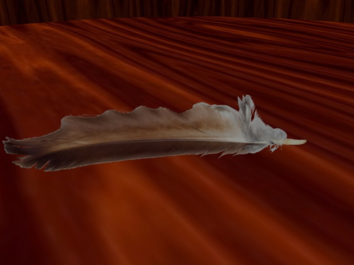 TM Brown Eagle Feather - Flexi - FP - Full Permissions