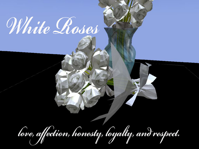 Bouquet of Roses white