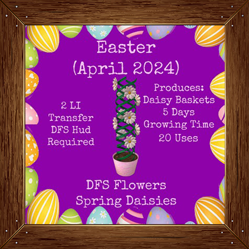 DFS Flowers - Spring Daisies (April 2024)