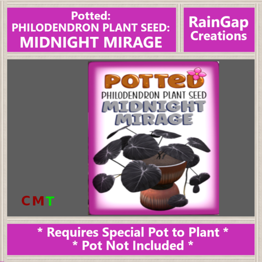 Potted: Philodendron Plant Seed: Midnight Mirage ACTUAL ITEM