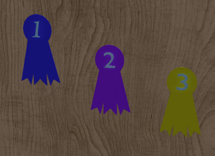 Horse Ribbons 123 Pack 10x
