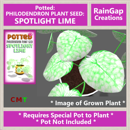 Potted: Philodendron Plant Seed: Spotlight Lime ACTUAL ITEM