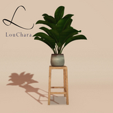 LouChara Soren Planter