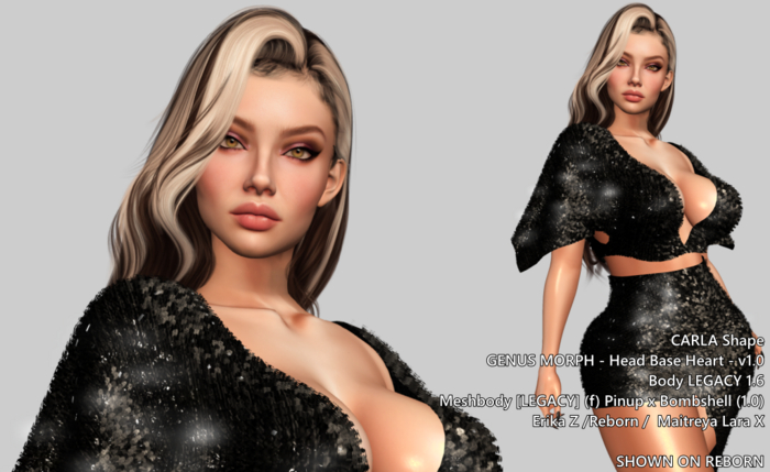 CARLA Shape / GENUS MORPH MARGO