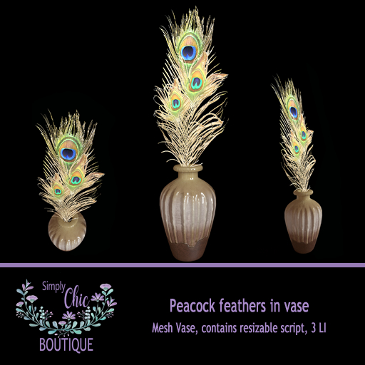 Peacock Feathers Vase w/resizer