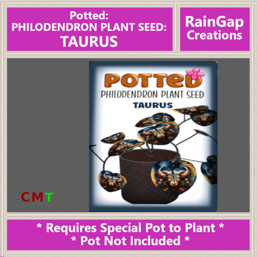 Potted: Philodendron Plant Seed: Taurus ACTUAL ITEM