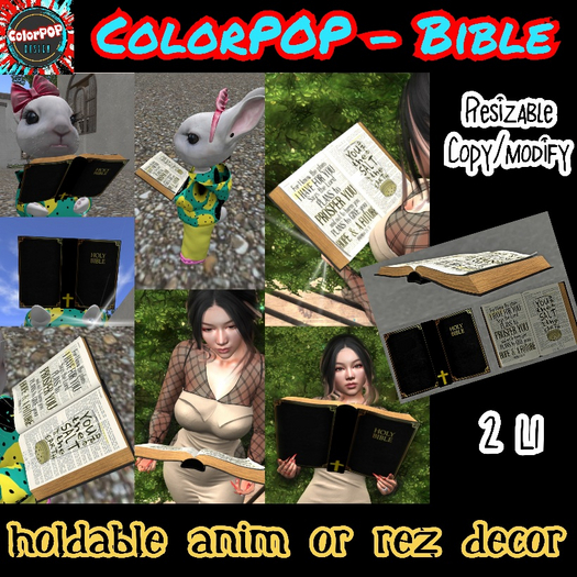 ColorPOP - Bible BOX (ADD to Unpack)