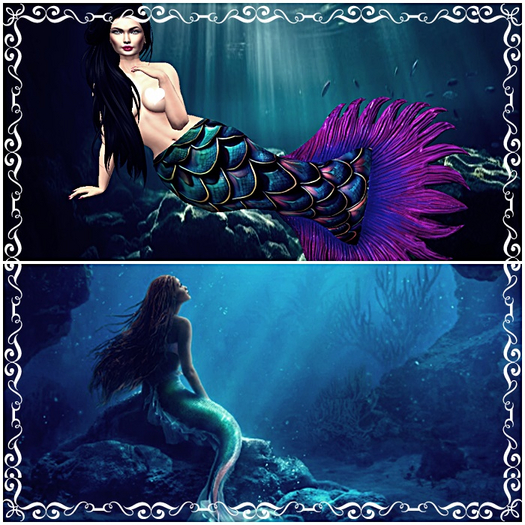 MERMAID MEDUZA-MAITREYA