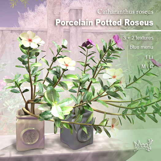 MMM-Porcelain Potted Roseus