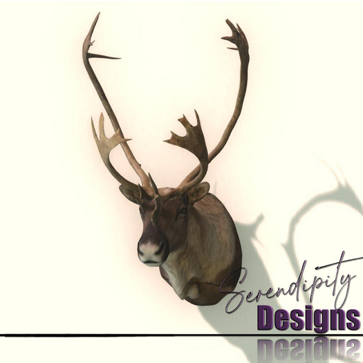 Serendipity Designs - Carabou Trophy