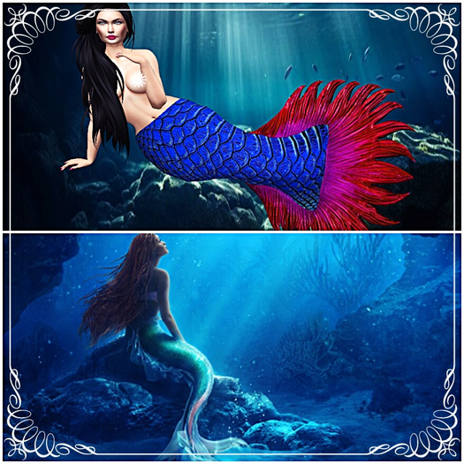 MERMAID ELFF-MAITREYA