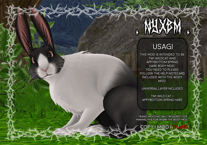 . NyxeM . Usagi // Dutch