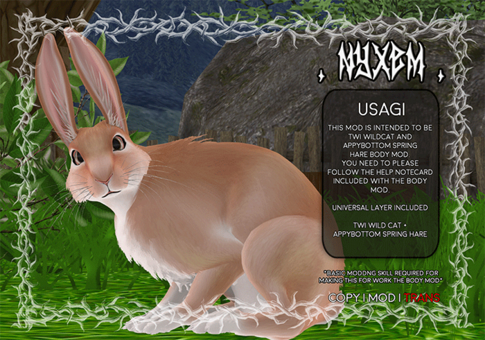 . NyxeM . Usagi // Fawn