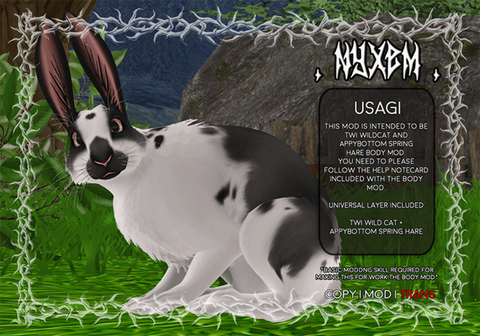 . NyxeM . Usagi // Splotched