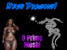 Jas Mesh dragon