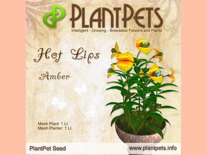 PlantPet Seed [Hot Lips *Amber*]