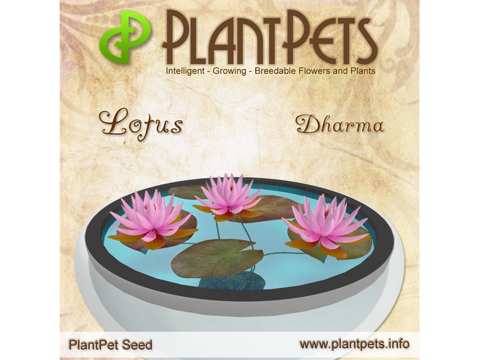 PlantPet Seed [Lotus *Dharma*]