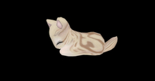 Stray Cats Kitten - Classic Tabby Cream Male (M)