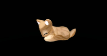 Stray Cats Kitten - Classic Tabby Cinnamon Fem (F)