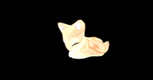 Stray Cats Kitten - Classic Tabby Dilute Red F (F)