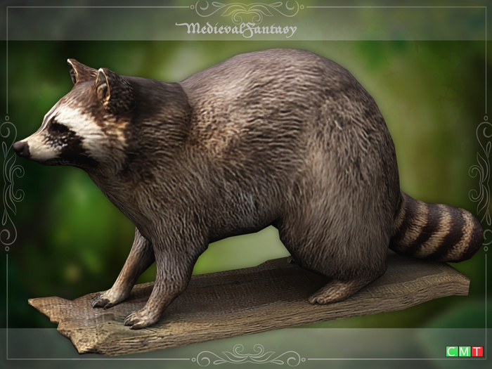 [MF] Raccoon Trophy (boxed)