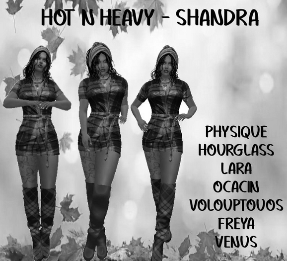 Hot N Heavy - Shandra DEMO