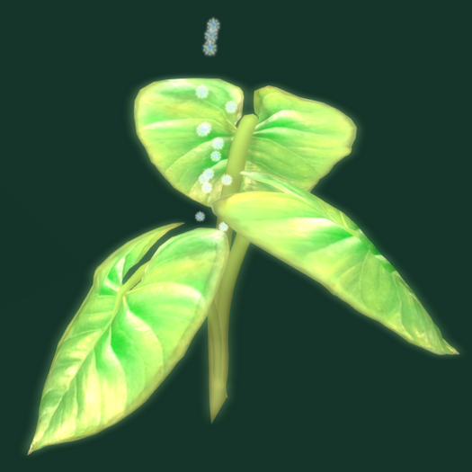 Papillon Frond Tier 3 Small/Strong,Relaxed ElC