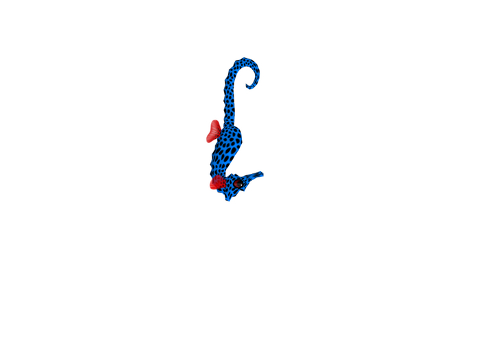 (7S) Common Fish: Dotty Blue Seahorse