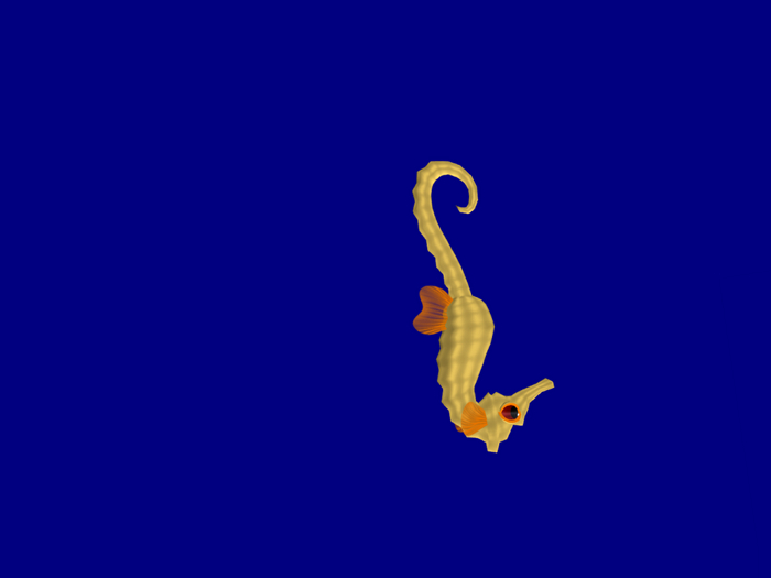 (7S) Common Fish: Orange Seahorse