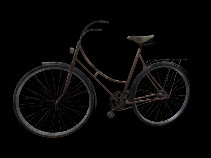 Vintage Parisian Bicycle 1920s