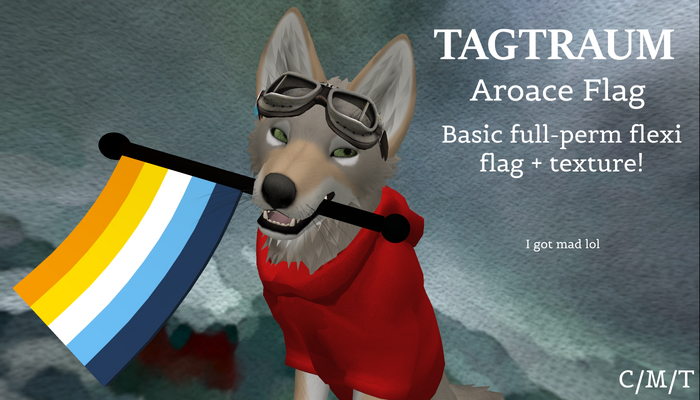 TAGTRAUM // Aroace Flag