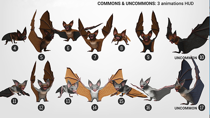 SEmotion Libellune Nightmare Bat Animesh COMMON 08