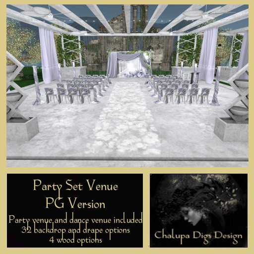 Party Set Venue