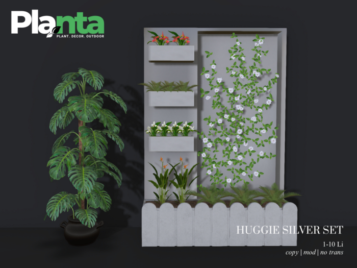Planta_Huggi Deco Silver Set