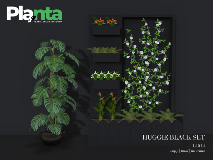 Planta_Huggi Deco Black Set