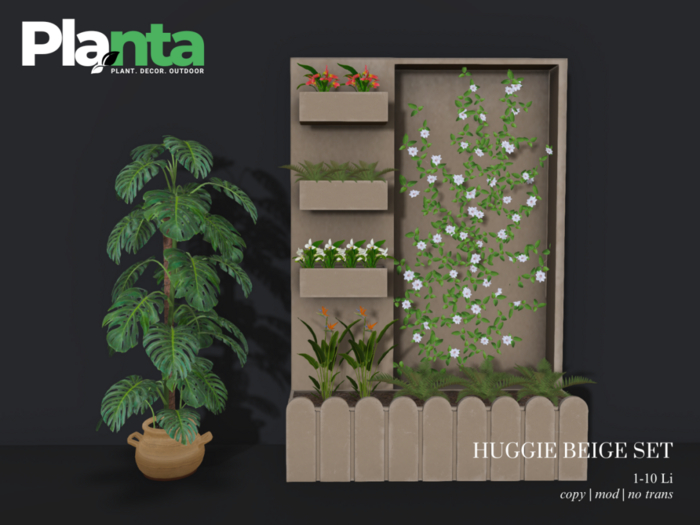 Planta_Huggi Deco Beige Set