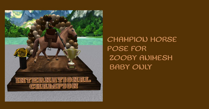 MERCI~CHAMPION HORSE POSE