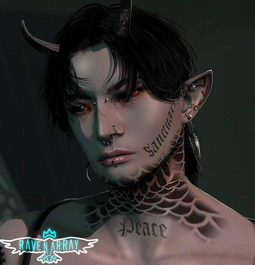 /Raven-Array\ - Koi Sanctuary Tattoo EVOX