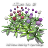 Flowers - Giant Onion (Allium Giganteum) No. 2 - Full Perm Mesh - LI=0.5-1.2