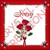 Sorry35 Sorry (Rezz Me)