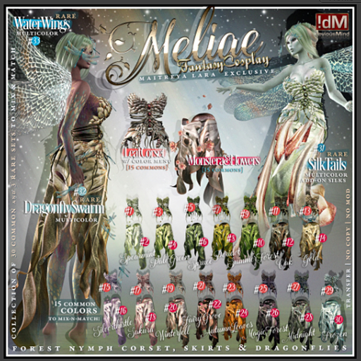 21 !dM Maliae **FAIRYGROVE** (BOX LARA)