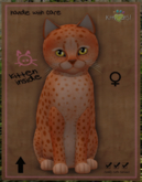 KittyCatS Box - New Born Kitten