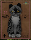 KittyCatS Box - New Born Kitten