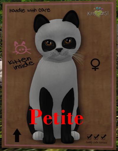KittyCatS Box - Pandie - Ebony & Ivory Petite